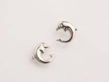 DELFINI earrings — silver
