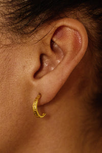 Hellas Stud Hoops - gold