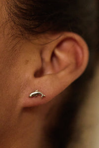 Dolphin studs- silver